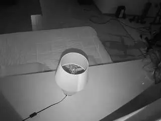 Voyeurcam-jb-office-2  live sex cam