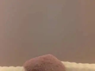 Anaayss  live sex cam