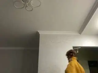 Angelaniebla  live sex cam