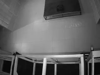Voyeurcam-jb-room-3  live sex cam