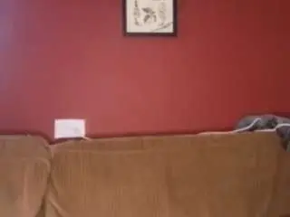 Poundedblackandred  live sex cam