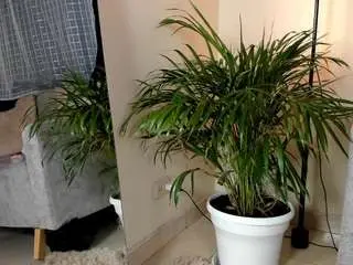 Samarha-queens  live sex cam