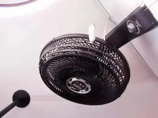 Narastorn  live sex cam
