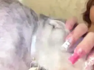 Beatricevalois  live sex cam