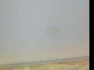 Sofiathonsonn  live sex cam