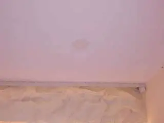 Sofiathonsonn  live sex cam