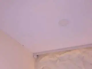 Sofiathonsonn  live sex cam