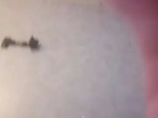 Sweetteafe  live sex cam