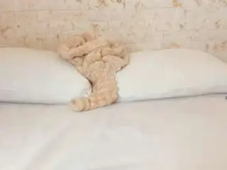 Britanny-hamilton  live sex cam