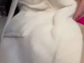 Bigcreamyass  live sex cam