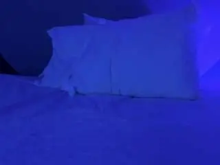 Sarita-duque  live sex cam