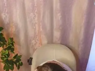 Elmiramaliszewski  live sex cam