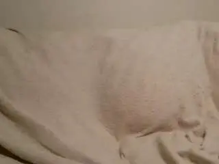 Beautylovess  live sex cam