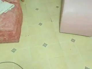 Chloeohiggins  live sex cam