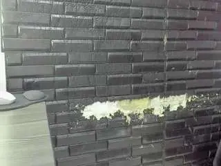 Daianalutzrx  live sex cam