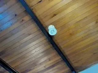 Emiliwilliams  live sex cam