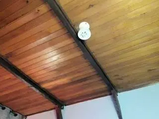 Emiliwilliams  live sex cam
