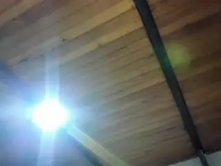 Emiliwilliams  live sex cam