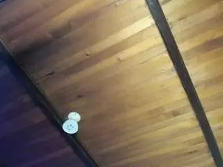 Emiliwilliams  live sex cam