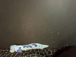 Shenadeblois  live sex cam