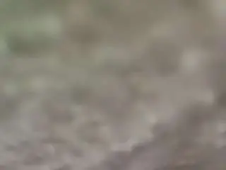 Bergfalkmotest2  live sex cam