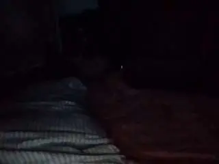 Starlight1983  live sex cam