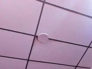 Maywestt  live sex cam