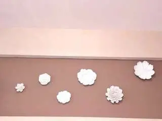 Victoriashelby  live sex cam