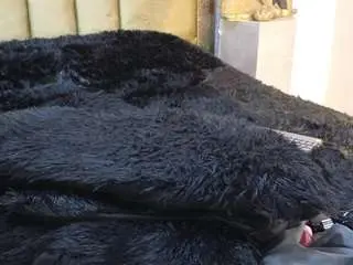 Ximenawilliamss  live sex cam