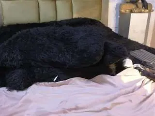 Ximenawilliamss  live sex cam