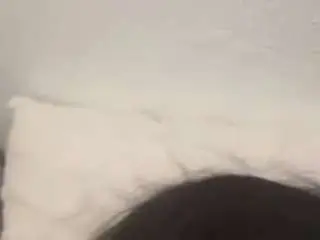 Urfavkitties666  live sex cam