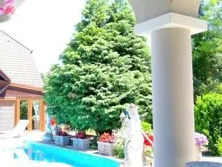 Tunderosee  live sex cam