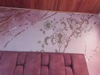 Valeri-sotoo  live sex cam