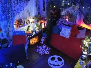 Voyeurcam-veccasalt-01  live sex cam