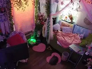 Voyeurcam-veccasalt-01  live sex cam