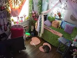 Voyeurcam-veccasalt-01  live sex cam