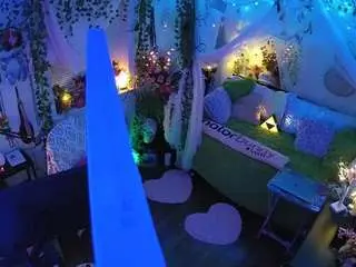 Voyeurcam-veccasalt-01  live sex cam