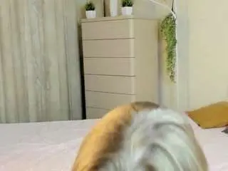 Nectarwink  live sex cam