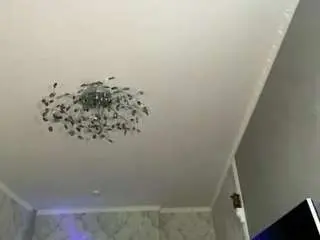 Lilliambeen  live sex cam