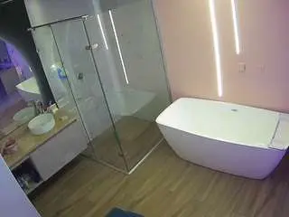 Voyeurcam-casa-salsa-bathroom-2  live sex cam