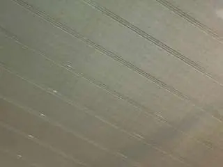 Saray-reyes  live sex cam