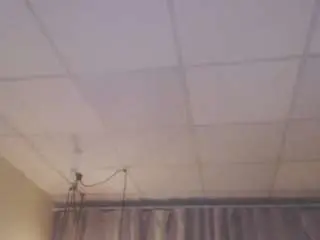 Masterleila  live sex cam