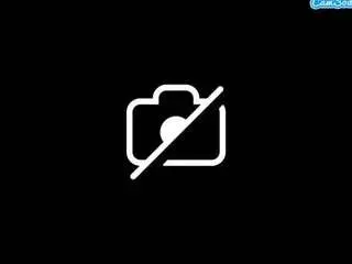 Tabbycat9627  live sex cam