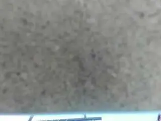 Charlott-day  live sex cam