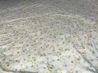 Nolaflister  live sex cam