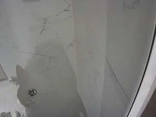 Voyeurcam-casa-salsa-bathroom-11  live sex cam