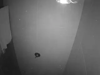 Voyeurcam-casa-salsa-bathroom-11  live sex cam