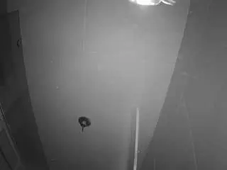 Voyeurcam-casa-salsa-bathroom-11  live sex cam
