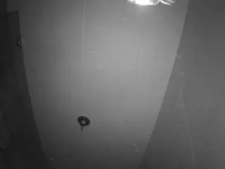 Voyeurcam-casa-salsa-bathroom-11  live sex cam