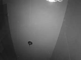 Voyeurcam-casa-salsa-bathroom-11  live sex cam